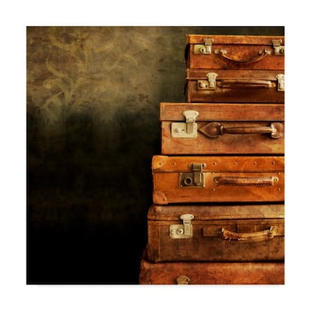 Tom Quartermaine 'Antique Luggage Suitcases' Canvas Art,18x18